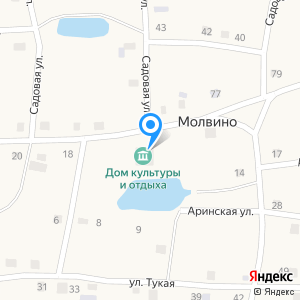 Библиотека, с. Молвино