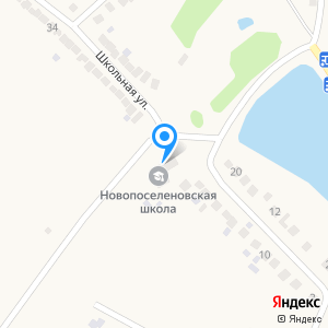 Новопоселеновская средняя общеобразовательная школа