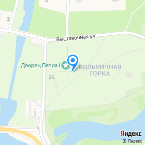 Дворец Петра I в Стрельне, музей