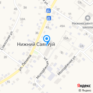 Аптечный пункт, с. Нижний Саянтуй