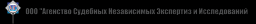 Агентство судебных независимых экспертиз и исследований, ООО