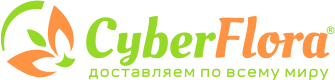 CYBER-FLORA, интернет-магазин цветов