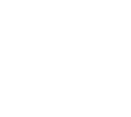 Dinamic Systems Group, группа компаний