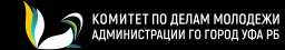 Комитет по делам молодежи, Администрация городского округа г. Уфа