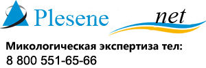 Plesene.NET, выездная служба по обработке помещений от плесени