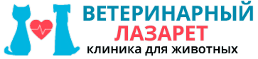 Ветеринарный лазарет отзывы. Ветеринарный лазарет. Ветлазарет Липецк. Ветеринарный лазарет Липецк Московская. Ветеринарная клиника на Московской Липецк.