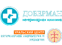 Доберман, ветеринарная клиника