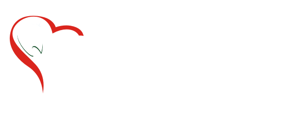 Добрый стоматолог, ООО