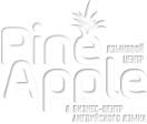 PineApple, лицензированный языковой центр и бизнес-центр английского языка