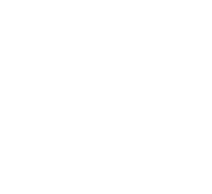 Геккон, клуб