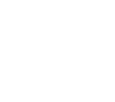 Астра, производственно-коммерческая фирма