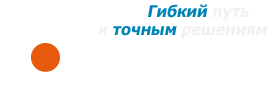 Солвер-ИТ, ООО, торгово-сервисная компания