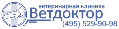 Ветеринарная клиника Салтыковка. Ветеринарная клиника Прокопьевск Ветдоктор. Клиника Юдина Балашиха ветеринарная. Ветеринарная клиника Балашиха Гагарина 29.