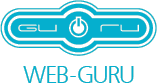 Web guru