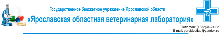 Областное государственное бюджетное учреждение